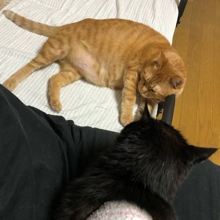 99e85215 4f12 4439 a961 5df6d15a7c84 1639302083940