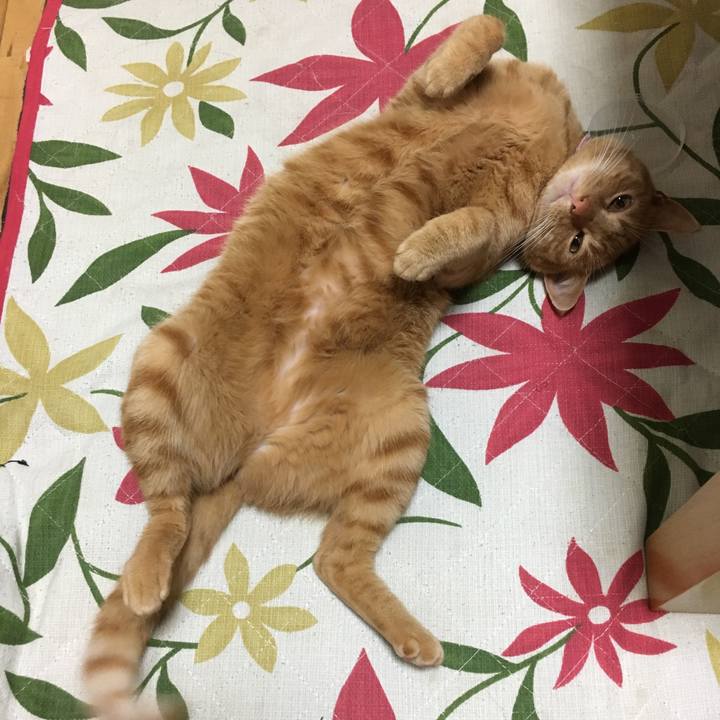 99e89ee4 f9eb 4c43 96f5 8f1497d739bf 1508329018164