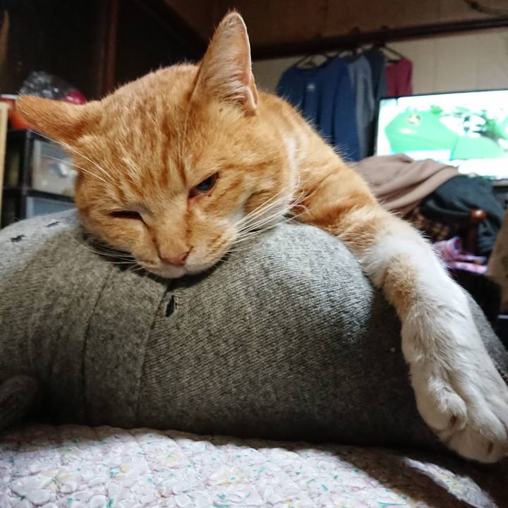 99e8ad2d 287d 4f84 873c ea59b533ba15 1575322861142