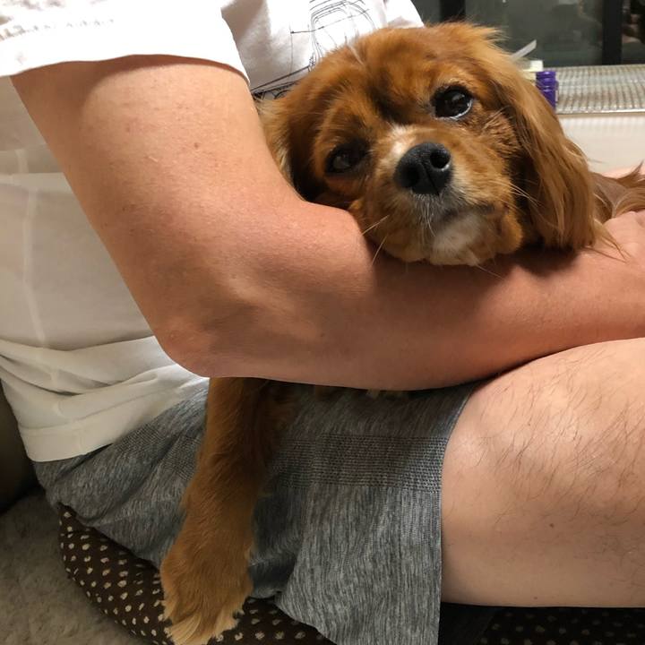 99e94070 08e6 43c6 9278 324ce24d787a 1589202238792