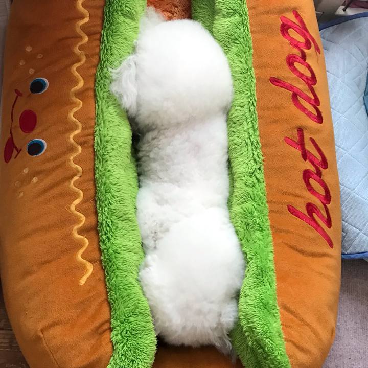 99e945a3 9c53 4fb5 aa44 2e72d67866b1 1559179568981