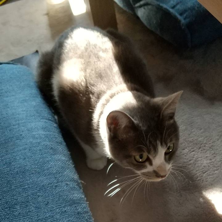 99e94948 292a 4c64 90af 14e433965b27 1598655730517