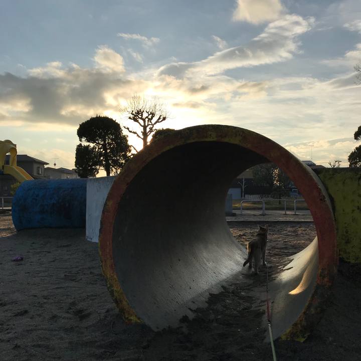 99e98983 60ab 4555 9488 e23ce7d64f9b 1511422906452