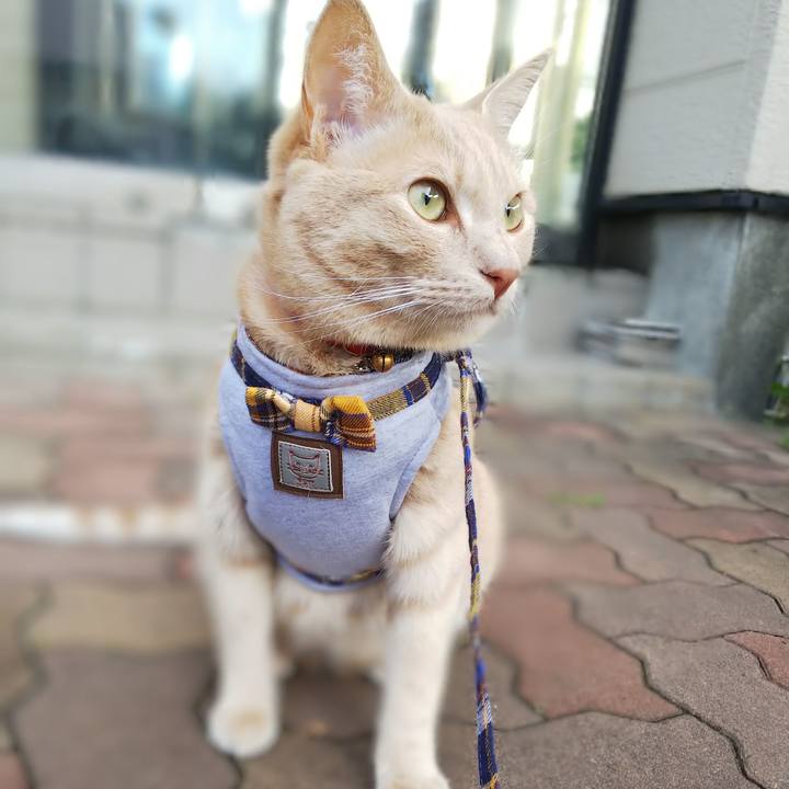 99e99180 6eec 4b8f a657 e9c9617c91b8 1568331648607