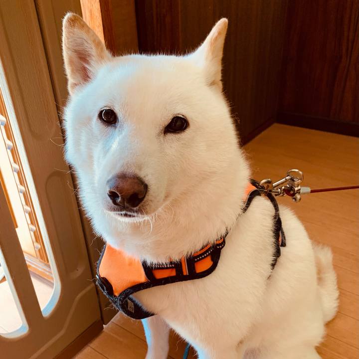 99e9a164 9646 4bae 83ef 7e6a05507aa8 1625862335593