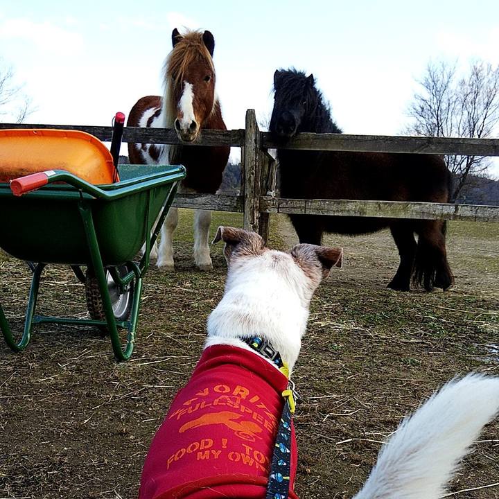 99e9a8ed 9858 41e1 b0fc c719f975bdff 1578904852204