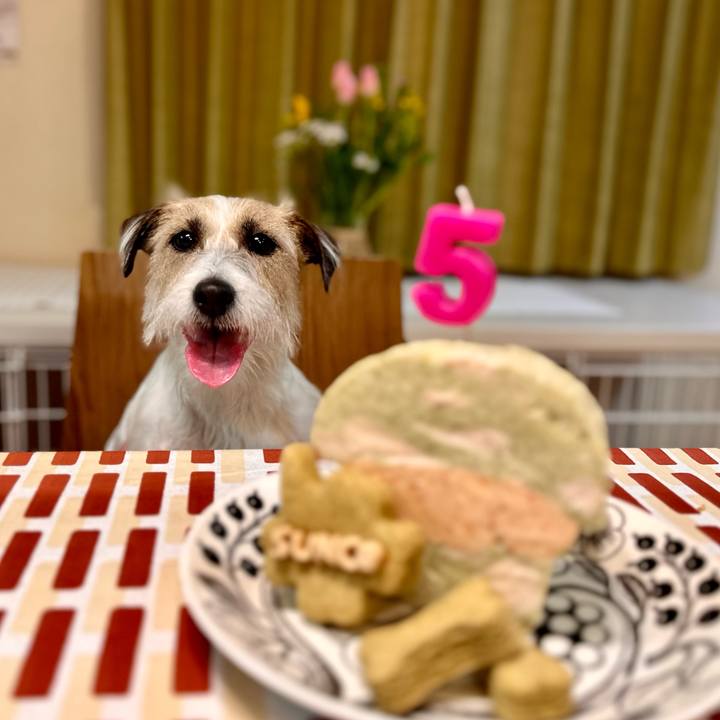 99e9cb68 3b45 4e01 8fc5 37c6f63e14f8 1709463706029