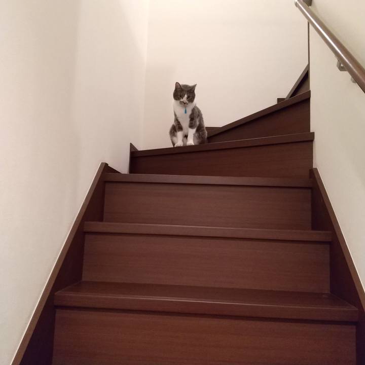 99e9e5e7 2587 4e1d b1f7 fe917f3b911f 1636029076172