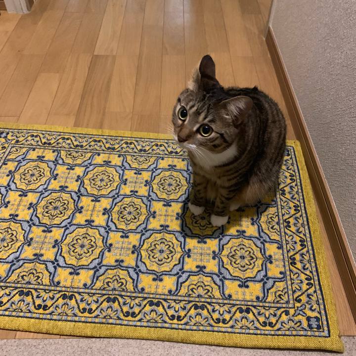 99e9f8e6 ac80 4852 91cf f5dd86da2667 1548210004295