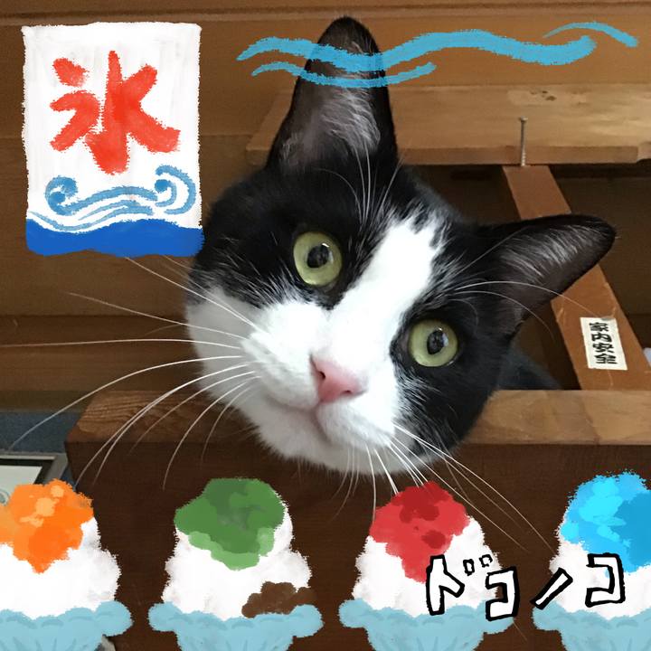 99ea072a 2746 4a44 9726 85447aa14007 1723275388244