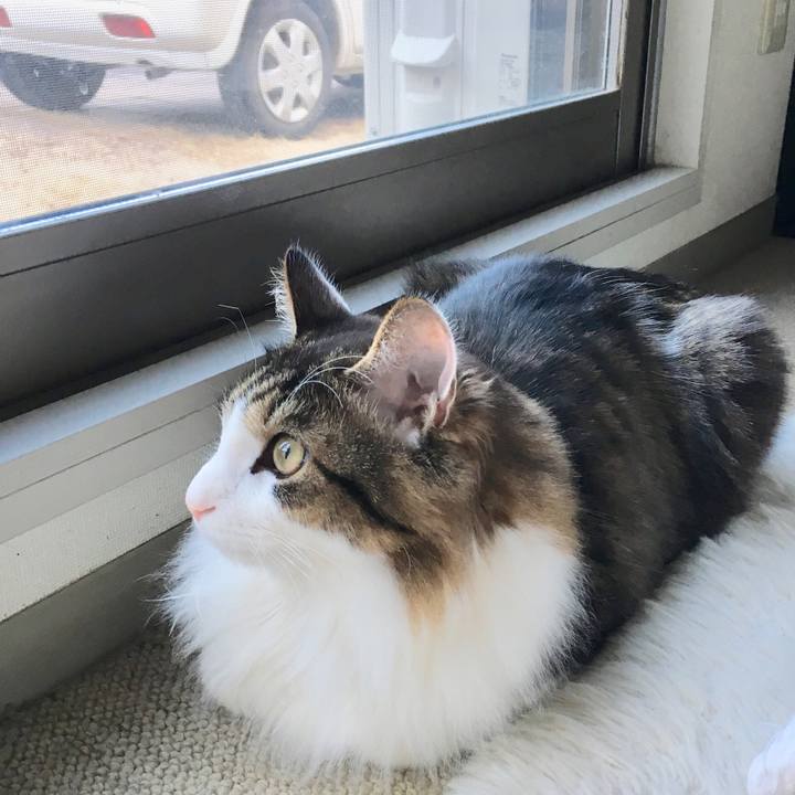 99ea11f2 f122 4dc6 a6c1 89a4dc66636d 1517967466185