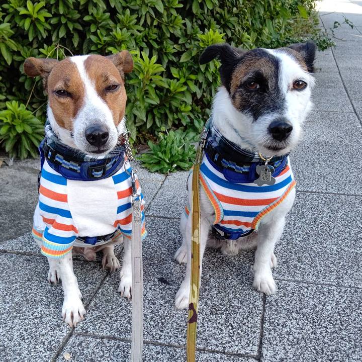 99ea1328 83f8 4673 b400 31681446ed03 1632869143560