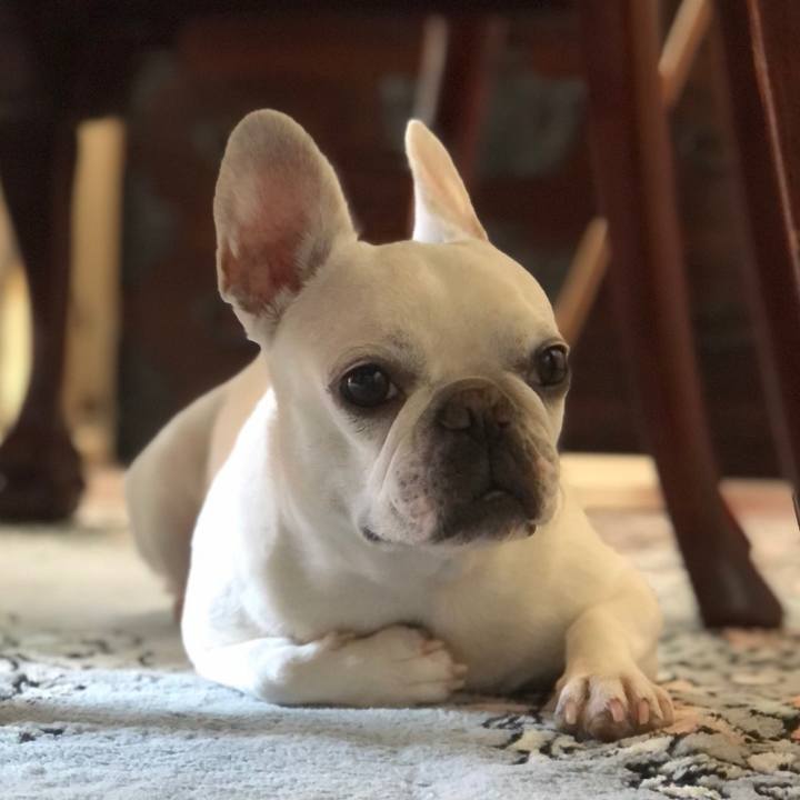 99ea3c76 f490 4102 8e90 a5db6fd43a3d 1628257622072