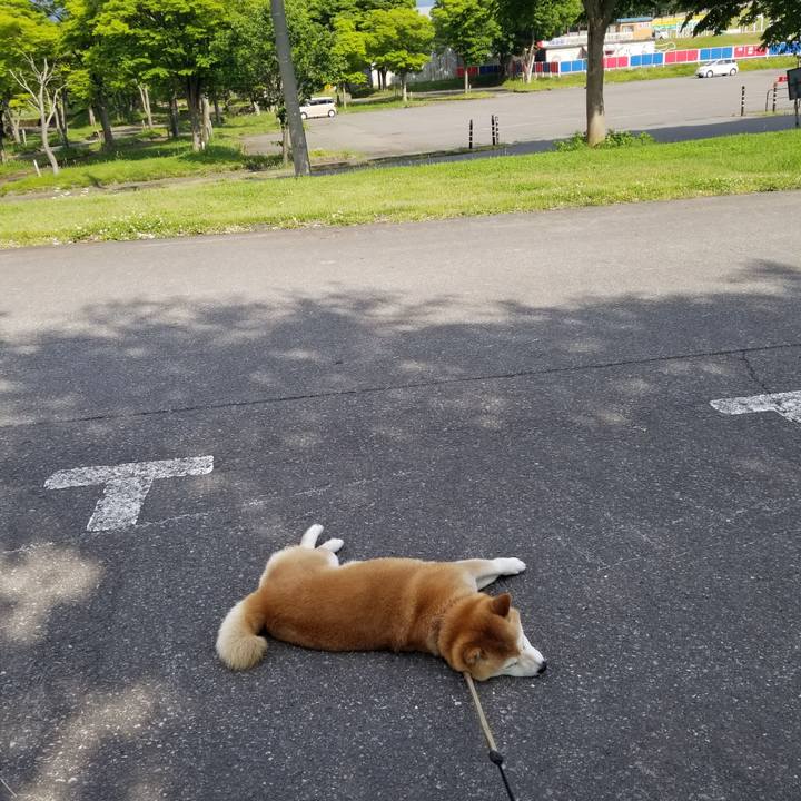 99ea4f66 7501 4fd6 9844 945a086feef1 1653979061404