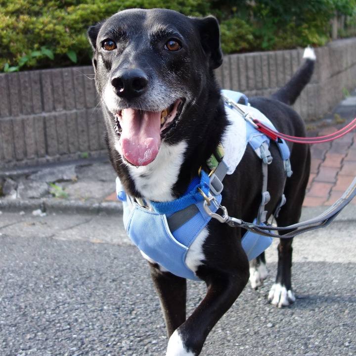 99ea5262 8d21 461f ac3d 48fdfa181e1d 1723680227349