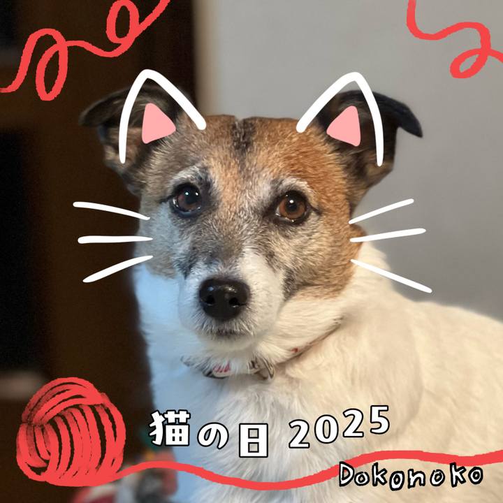 99ea5e6e aa0e 4669 9b70 b2f05a7332a9 1740128459965