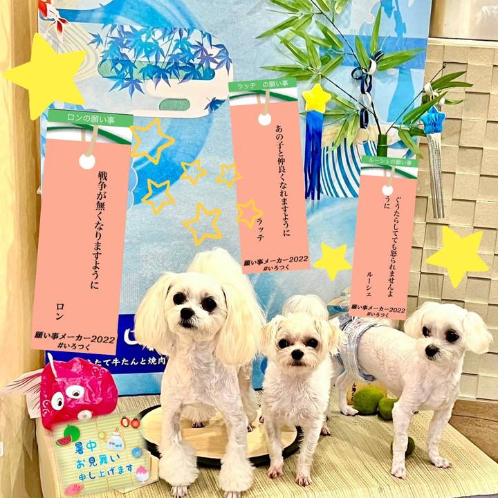 99eb0ed7 3031 4cdc b69b 0216743dcc56 1657144562628