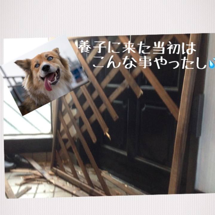 99eb16c0 c357 456b 8ee0 a410649b1f5e 1563125325740