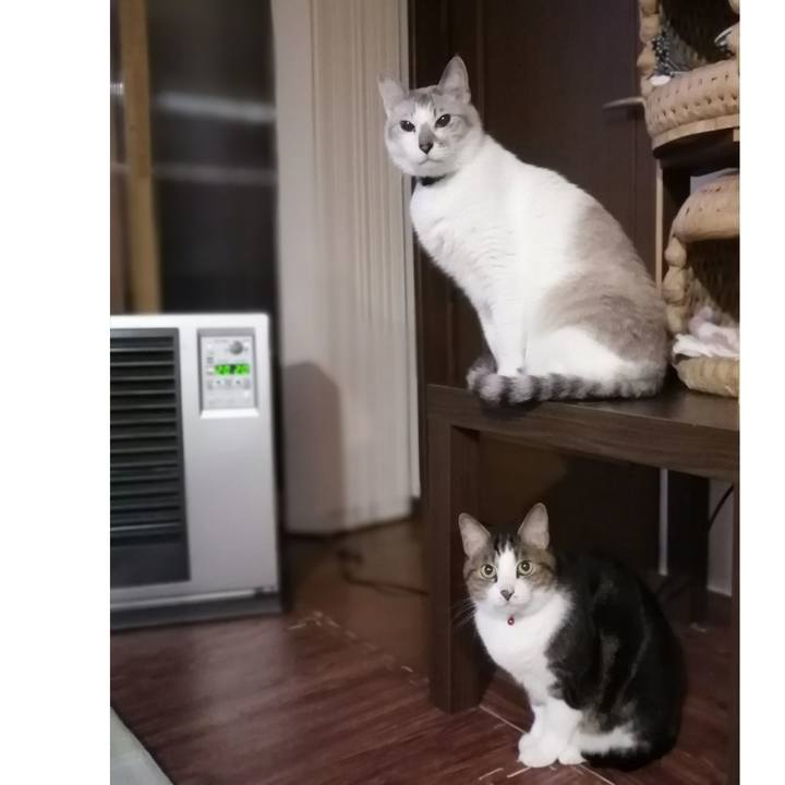 99eb36dd bdaa 4a7a 979d 272bf424a9c4 1577398945814