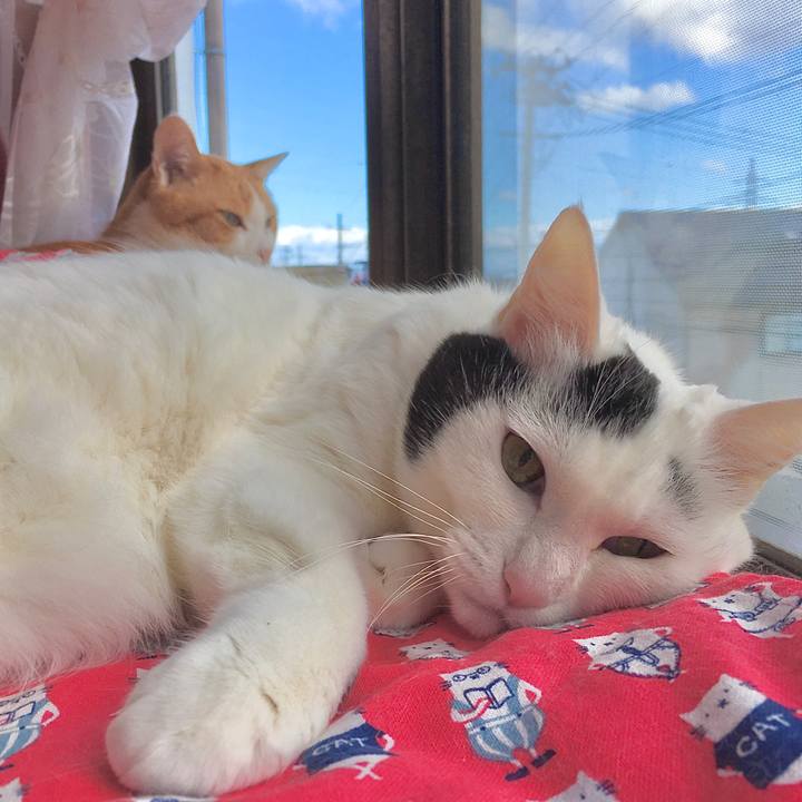 99eb428e 7cfa 4162 90ea 116574d514b8 1587528958745