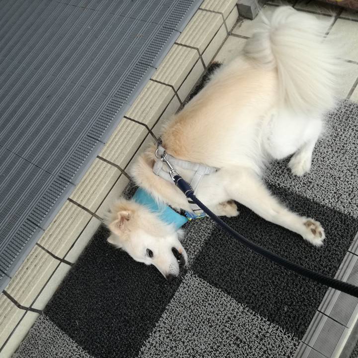 99eb4431 99cf 4dea 8632 93d38885d1d2 1535430195666