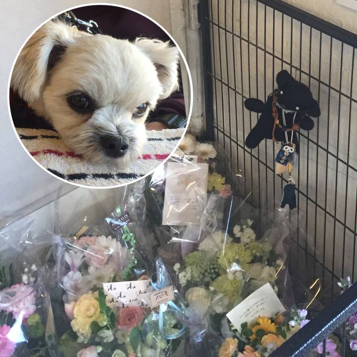 99eb4810 e063 4d4a 9e55 733c8c7e0898 1514545256098