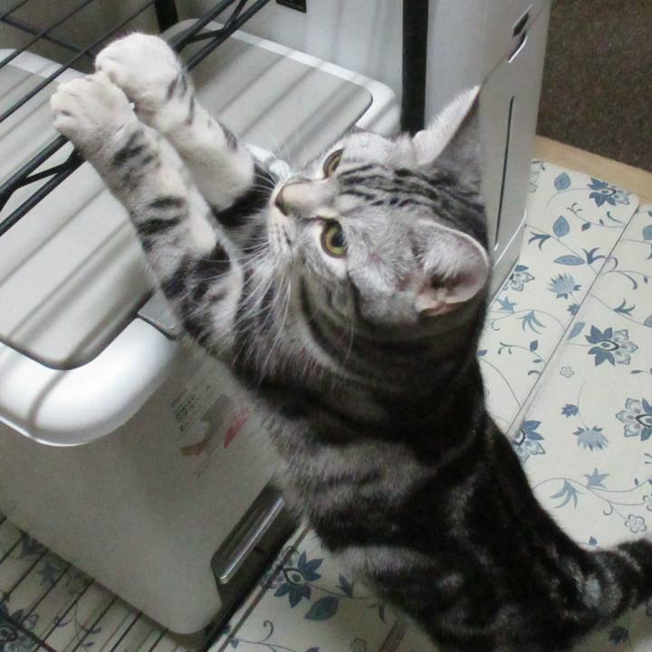 99eb4b61 fbd9 4726 bb8f ca42d58995bd 1547375593069