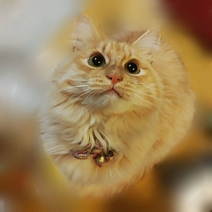 99eb5209 f491 4180 83ed 3db0a2bb137c 1671142443226