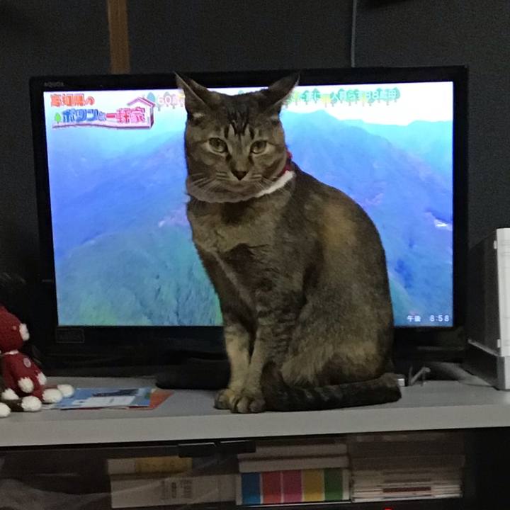 99eb5ffd 440b 44f8 ae56 85608a9c7638 1609675296301