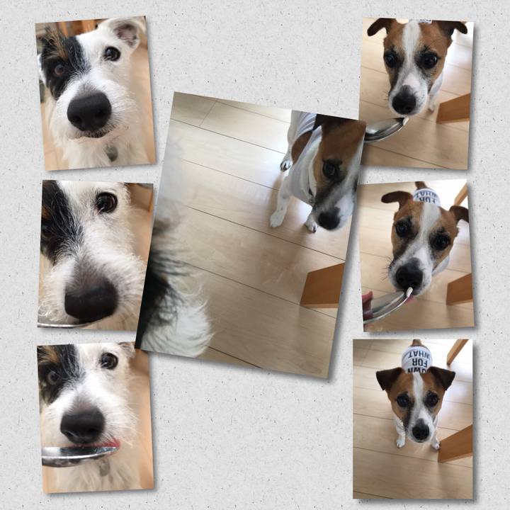 99eb78c5 a415 473c 944d 646b9f6b77d8 1530139414233