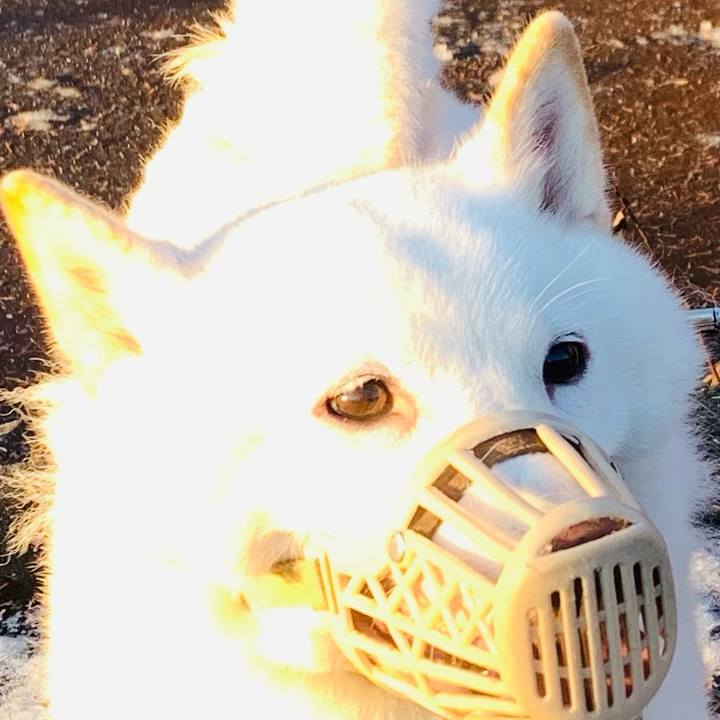 99ebaacb 037e 4de5 afdd fe9f3aff8a2f 1668732044352