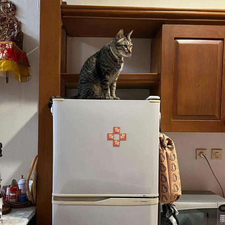 99ebb1b7 67a5 4700 a634 05bfdf1e20e8 1766287431138