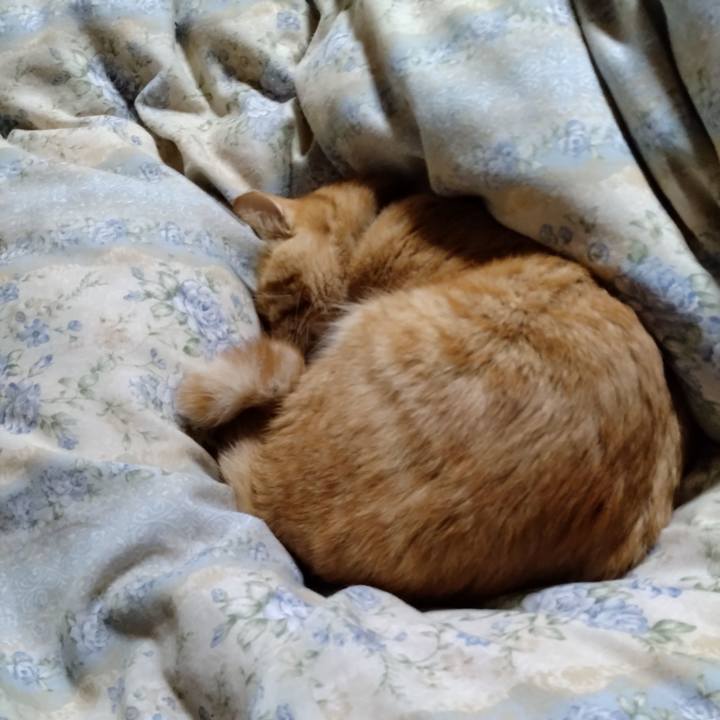 99ec15c7 95b8 4b7b 8c2a b7a1b2a9c8a2 1667132816824