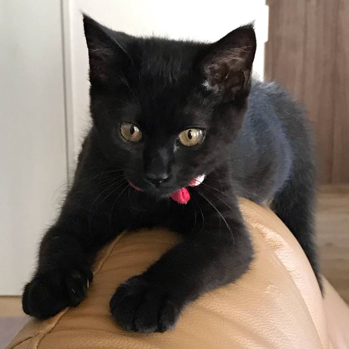 99ec26ea c80e 49b2 bcb5 70fde3f1faa2 1661834553985