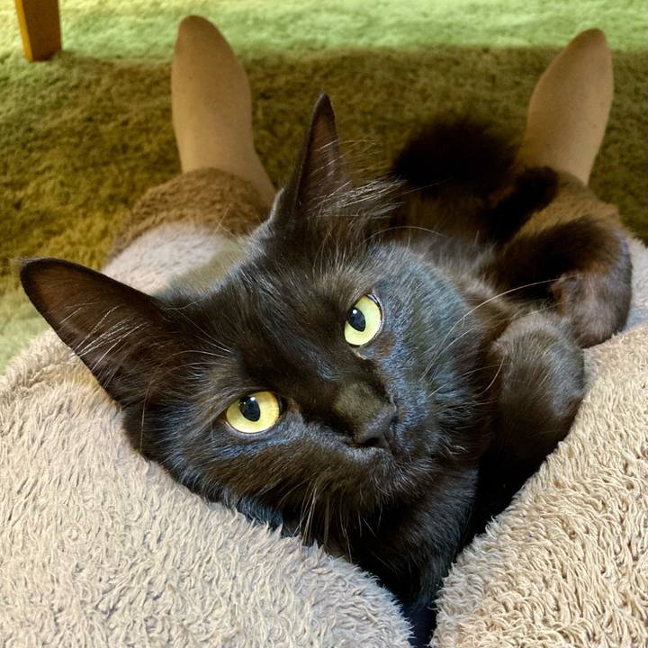 99ec2ba1 ccb7 4278 8083 0d1c4ca9d25b 1735455534168