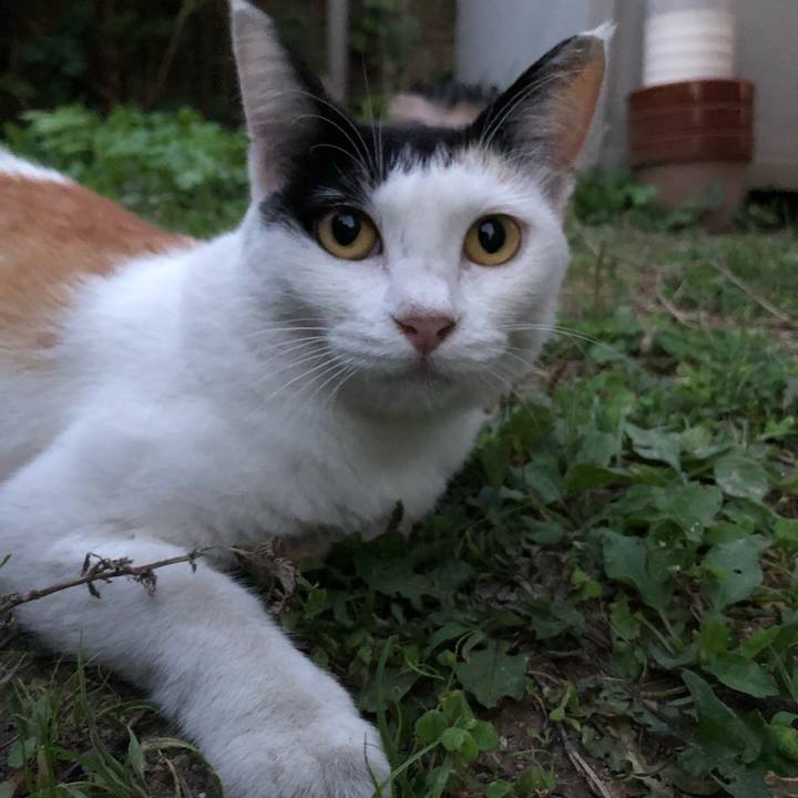 99ec3490 825d 4efd ba3f 7e4e53885ae1 1598138022713