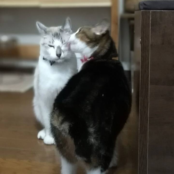 99ec5996 8a02 4a3a 8866 0863eaeb5877 1509526197793