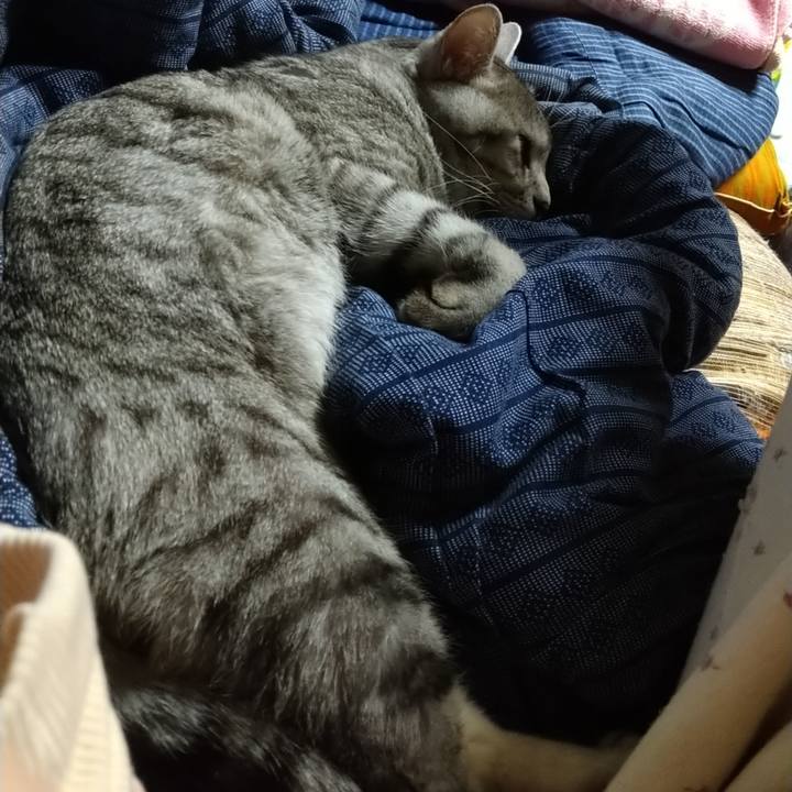 99ec6806 0cad 4d47 94a2 c5cc6bdccadf 1678028974472