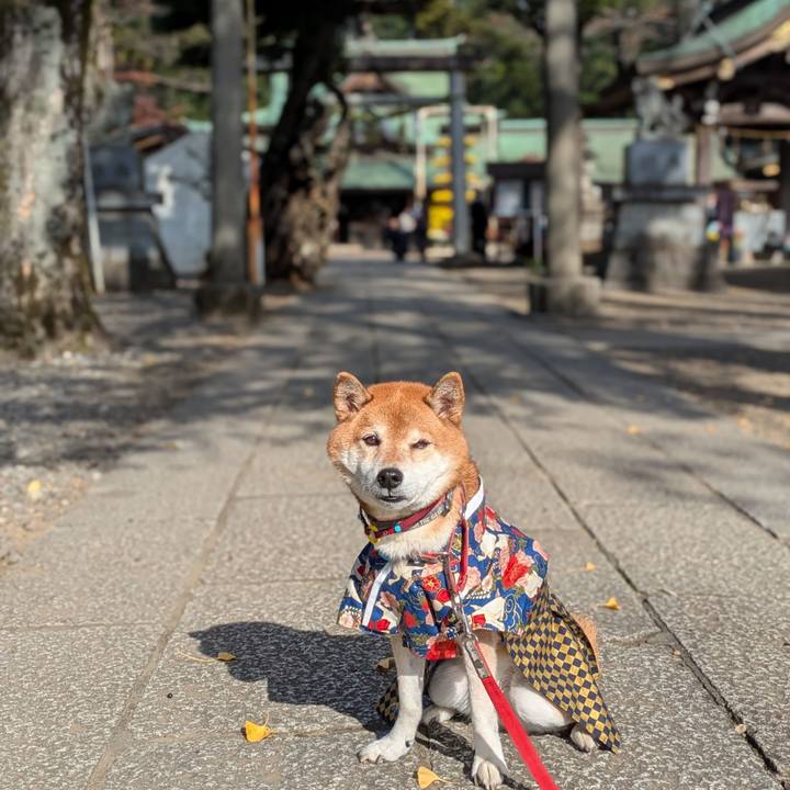 99ec8453 0b6e 483b a3cc 1fc0b550a856 1763977645871