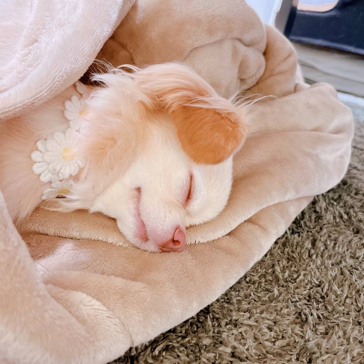 99ec8811 b5b6 4c3c a9a9 c780e24352c1 1662095846315