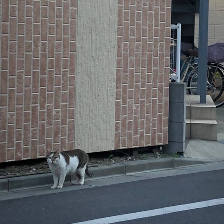 99ec99c1 a10c 4264 b86c b9a89319d270 1558180901174