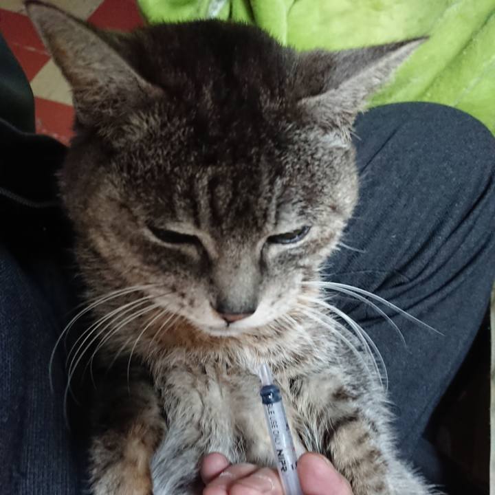 99ecba9c f5c8 46e0 89ef 287c9af9063a 1583272414333