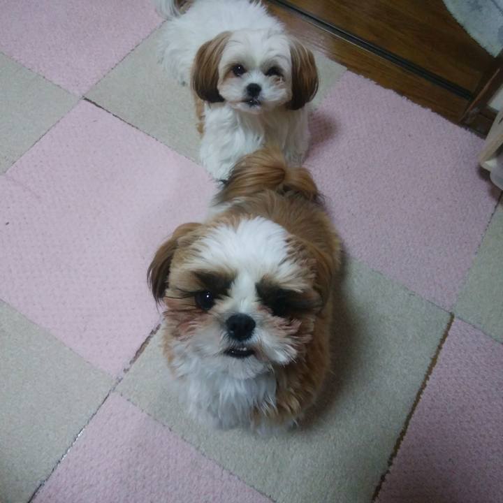 99ecce2d 0dc1 4ad2 b6a5 f0336da478a4 1549545278658