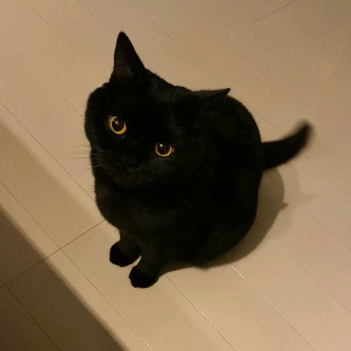 99ece1c4 3045 4a19 9d53 739667f10b6b 1610701879422