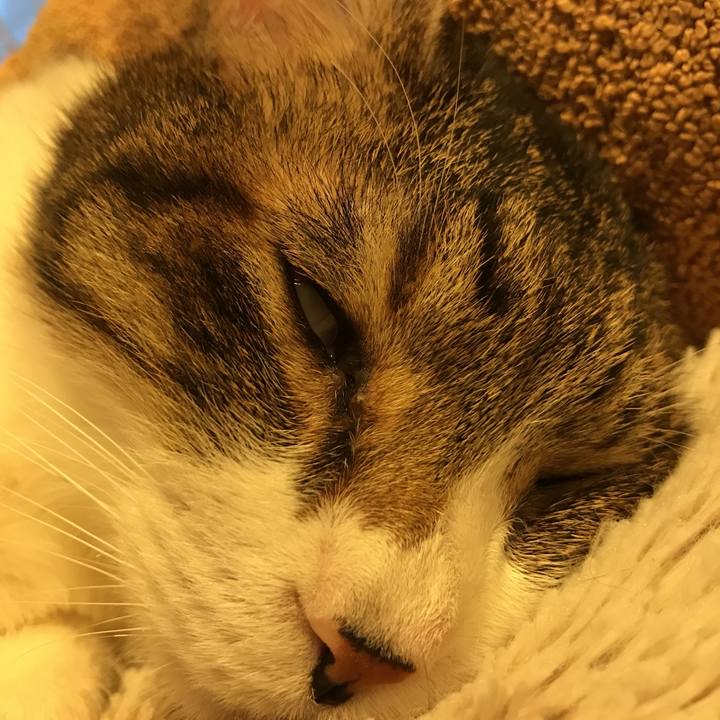 99ed0405 2f19 4ee9 a0d4 bc48d8fa2392 1523179013394