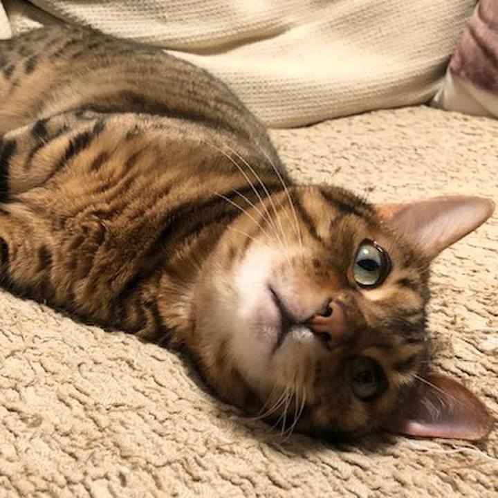 99ed5683 fac0 46e5 a989 e0a00f121017 1587332966489