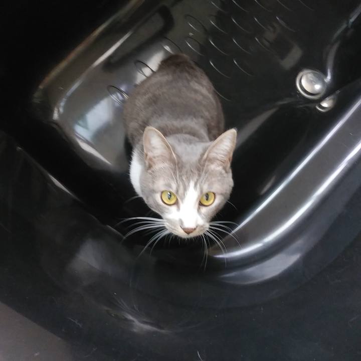 99ed8dfe 235b 496c 89ac cdfd83747564 1588841275678