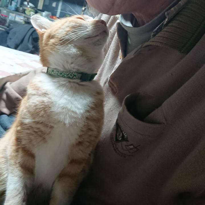 99ed95b3 c138 42f5 9ee5 93d3efee55f9 1584562729527