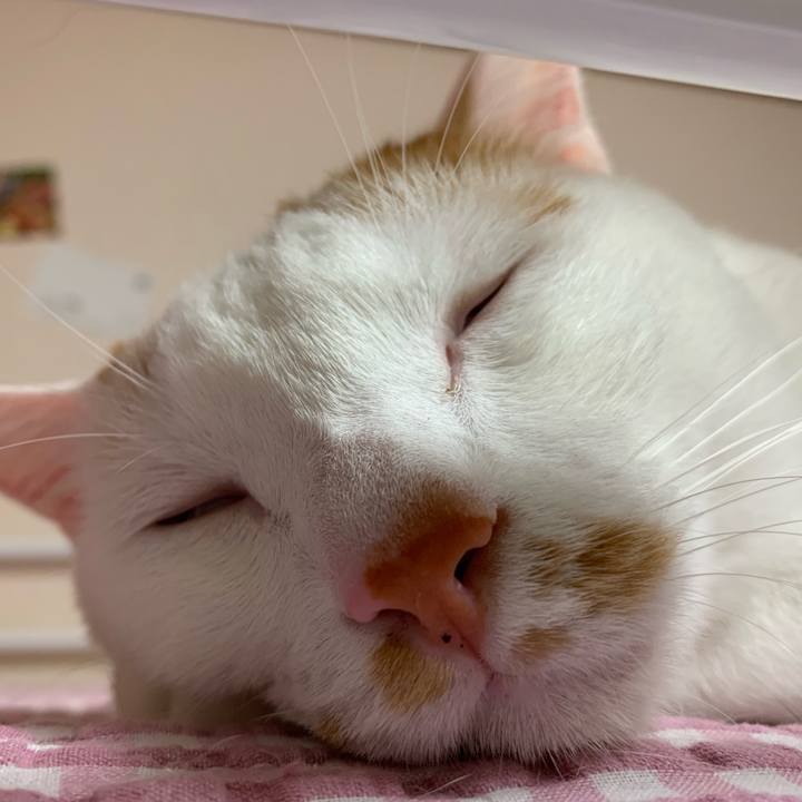 99eda2ee 82ef 4d88 91ea 69d3424aebbe 1566769257461