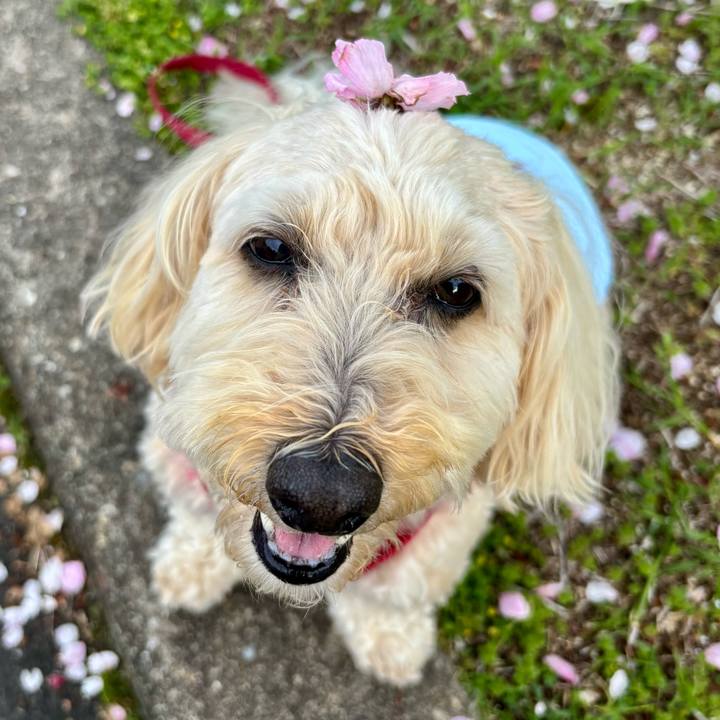 99edb398 1deb 4e8a b9f9 c0e2f0a0c68f 1775376480424